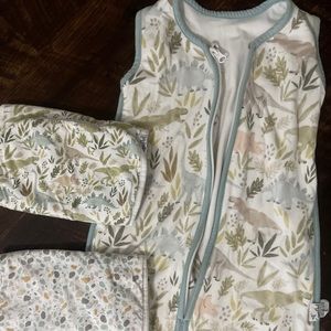 Copper Pearl dinosaur sleepsack and burp clothes